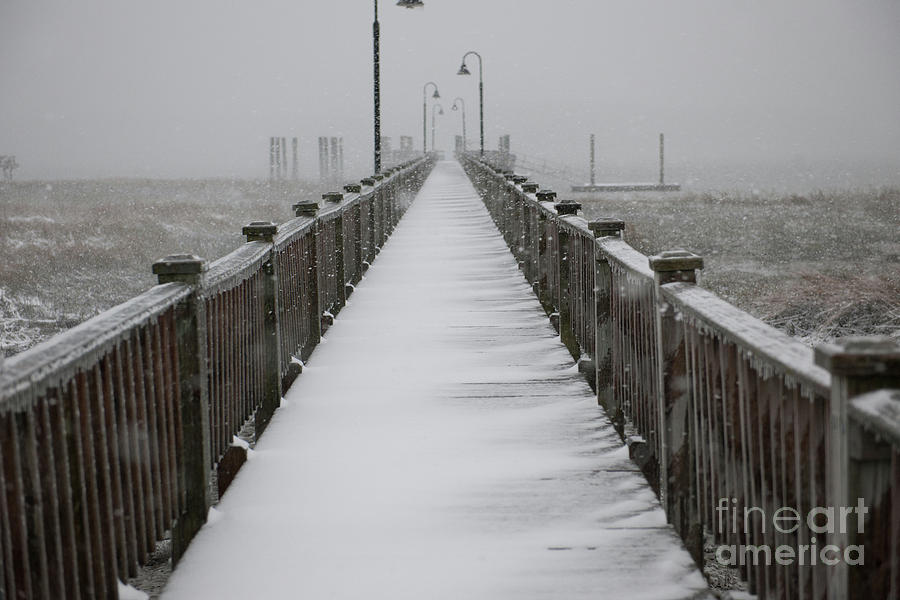 Dock Covered in Snow Photograph by Dale Powell