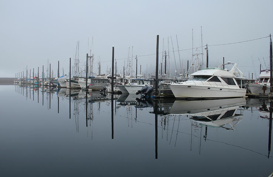 Dock Foggy Morning Photograph by Trent Mallett