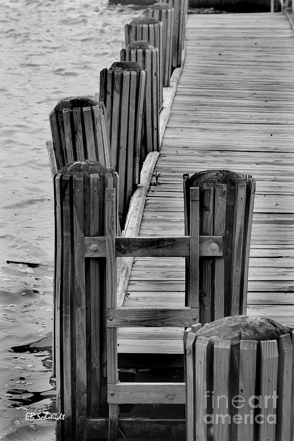George Washington Photograph - Dock on the Potomac by E B Schmidt