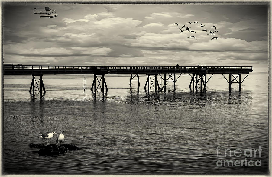Dock on the Sea Photograph by Barry Weiss