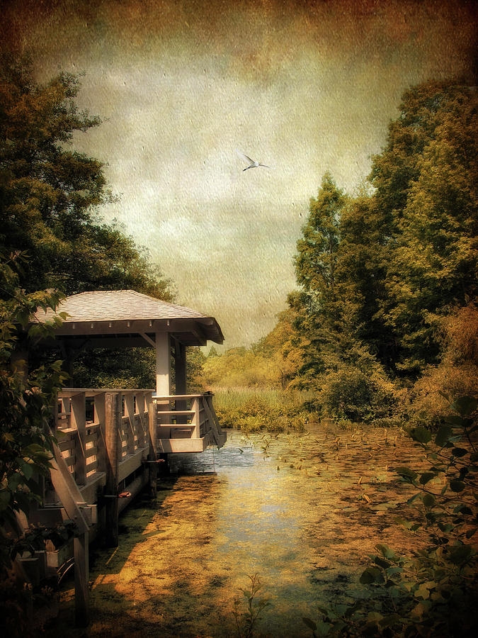 Nature Photograph - Dock on the Wetlands by Jessica Jenney
