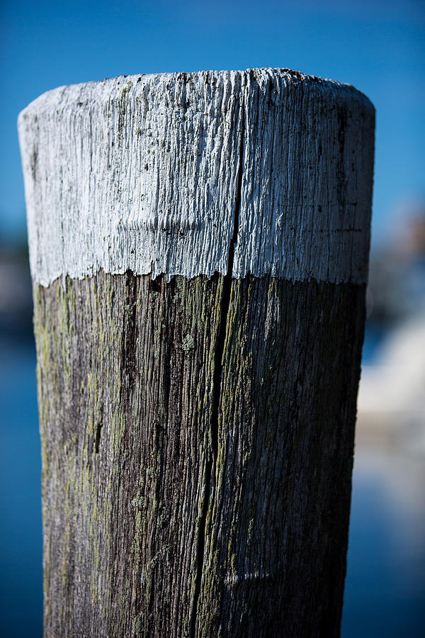 Harbor Photograph - Dock piling by Allan Morrison