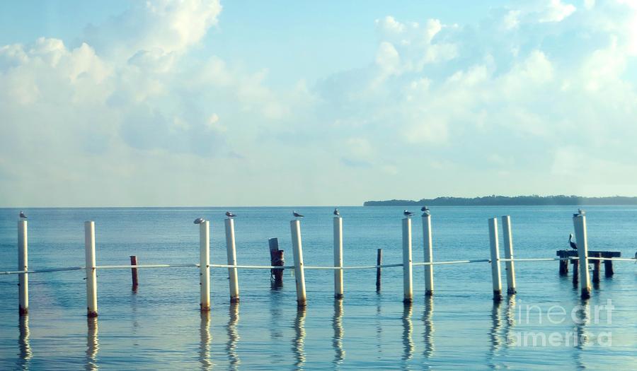 Dock Pilings Photograph by Tim Townsend