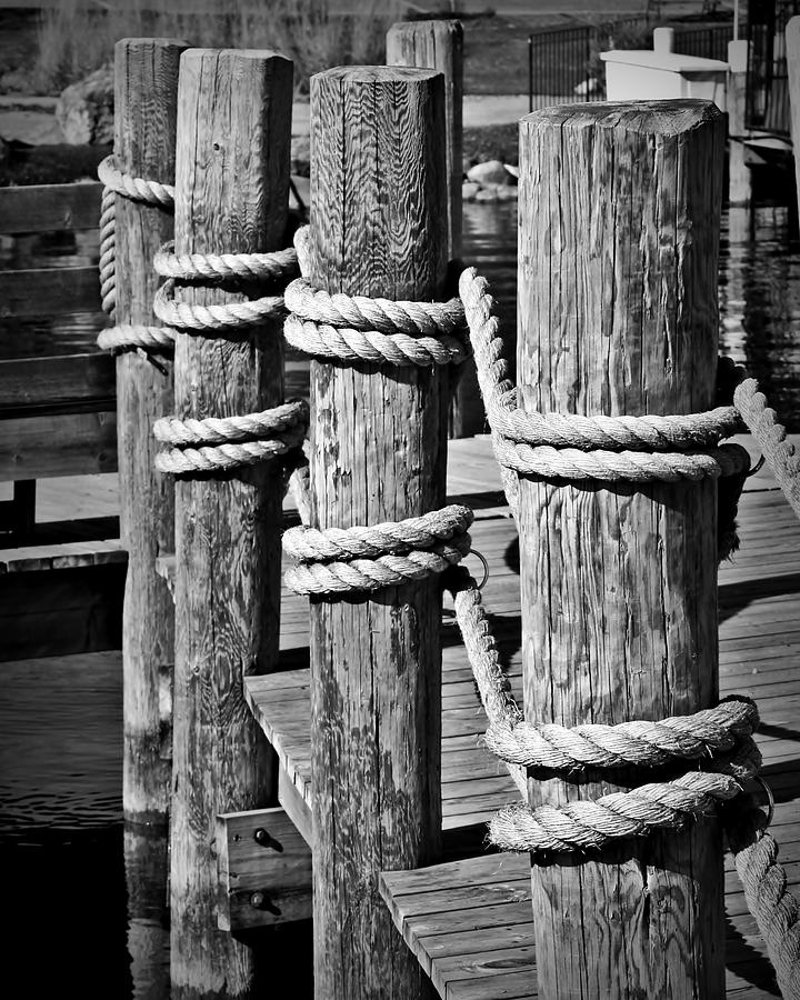 Dock Posts Photograph by Perry Webster