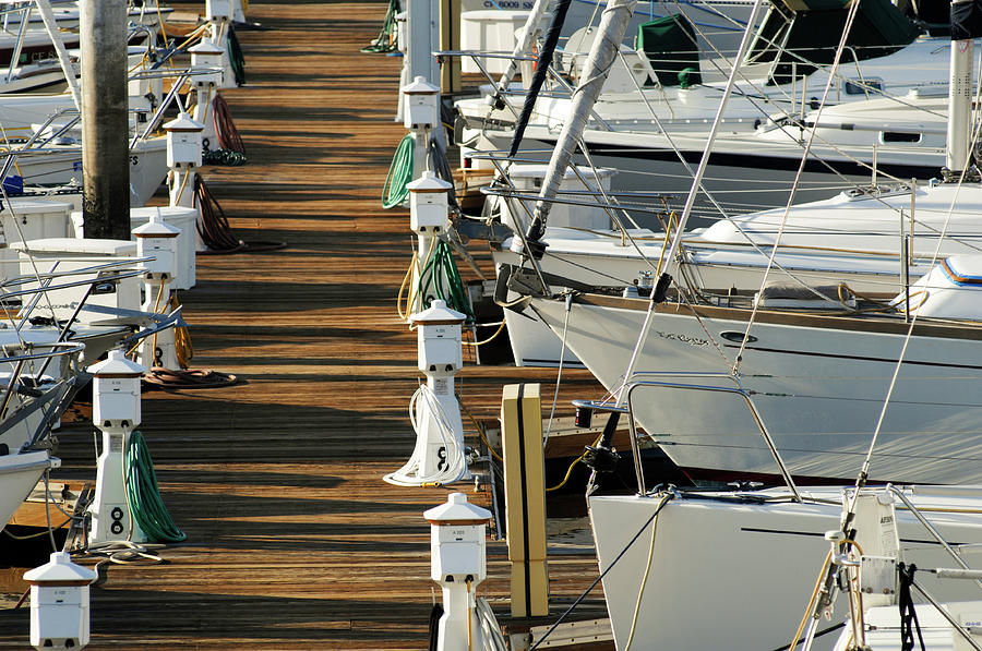 Dock Walk Photograph by David Shuler