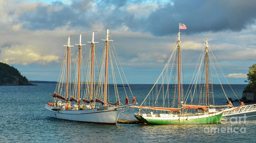 Docked at Bar Harbor Photograph by Barry Bohn