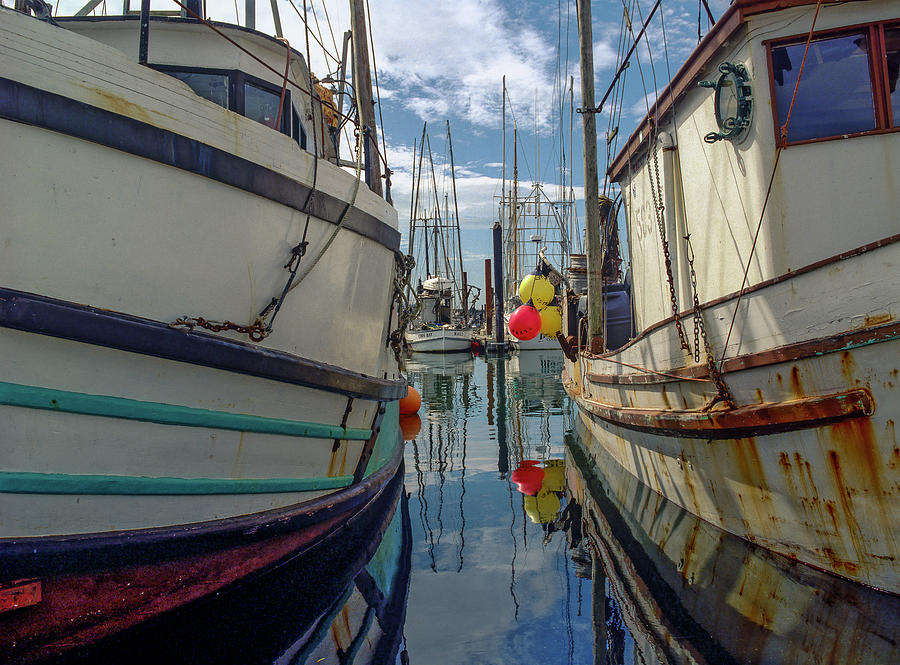 Docked Fishing Boats Photograph by Robert Potts