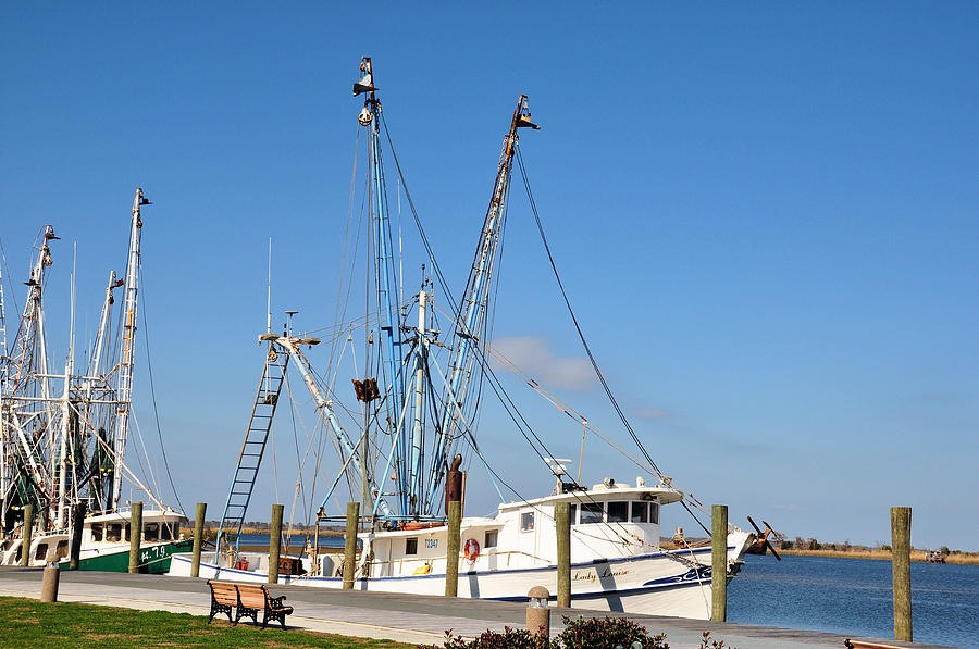 Docked In Apalachicola Photograph by Jan Amiss Photography