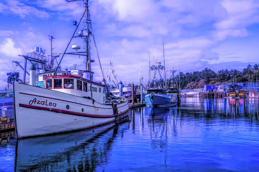 Docked in the bay Photograph by Bill Posner