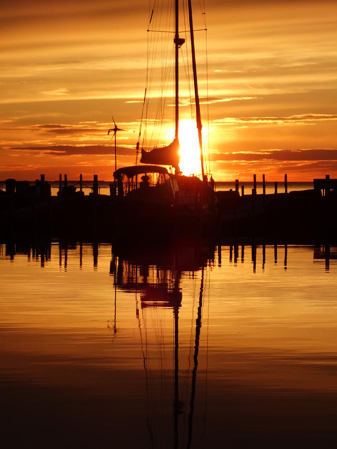Docked Sailboat Silhouette Photograph by David T Wilkinson