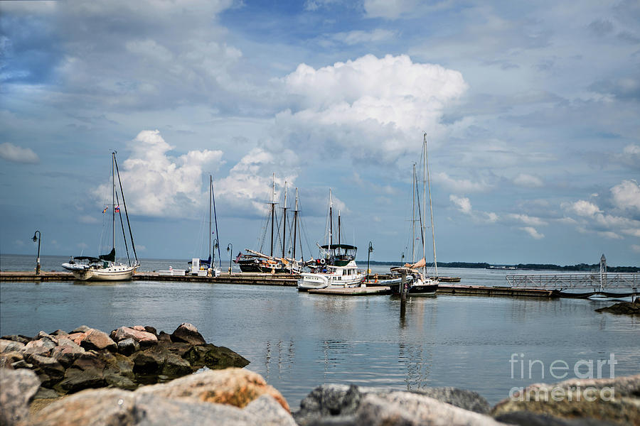 Summer Photograph - Docked Ships by Ed Taylor