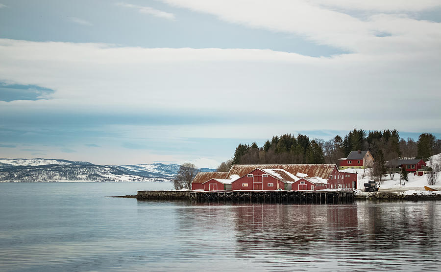 Docks at Gibostad Norway Photograph by Adam Rainoff
