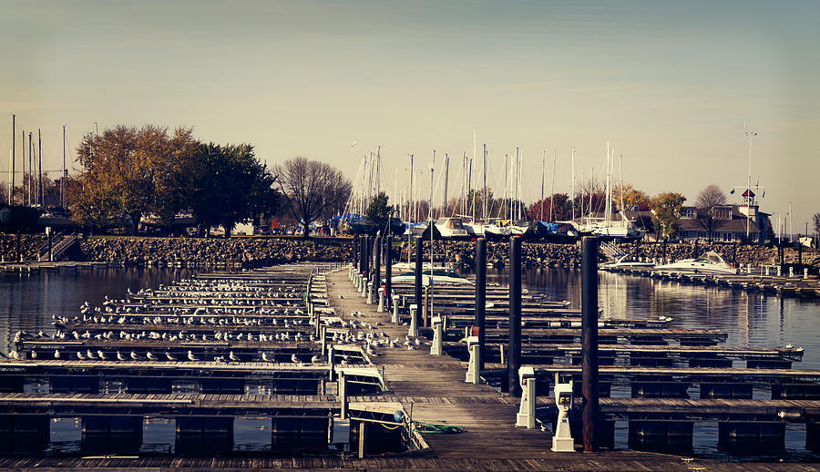 Docks at Lake City Digital Art by Susan Stone