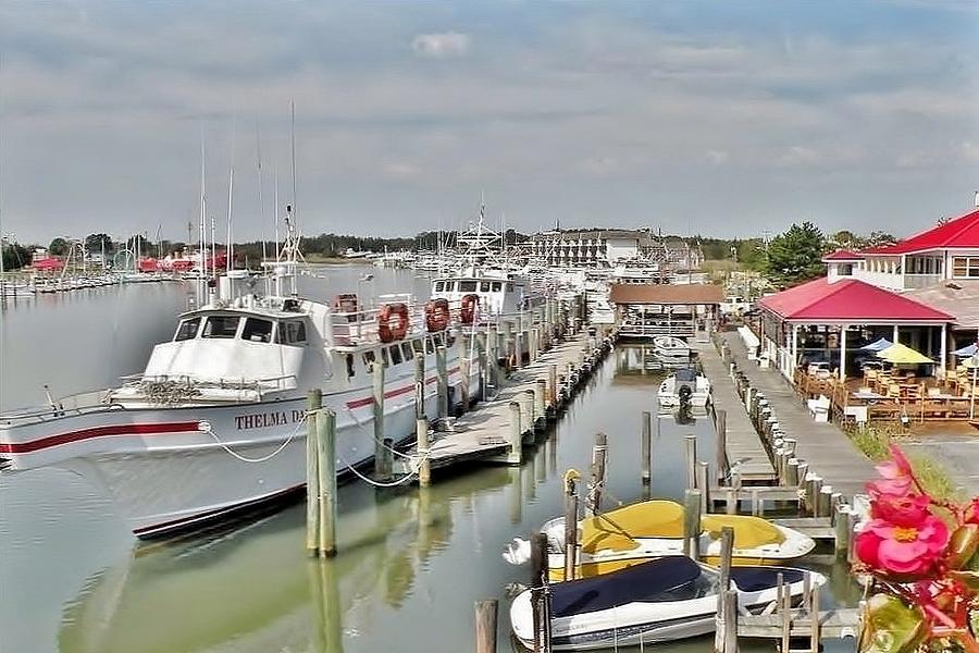Dockside On the Canal - Lewes Delaware Photograph by Kim Bemis