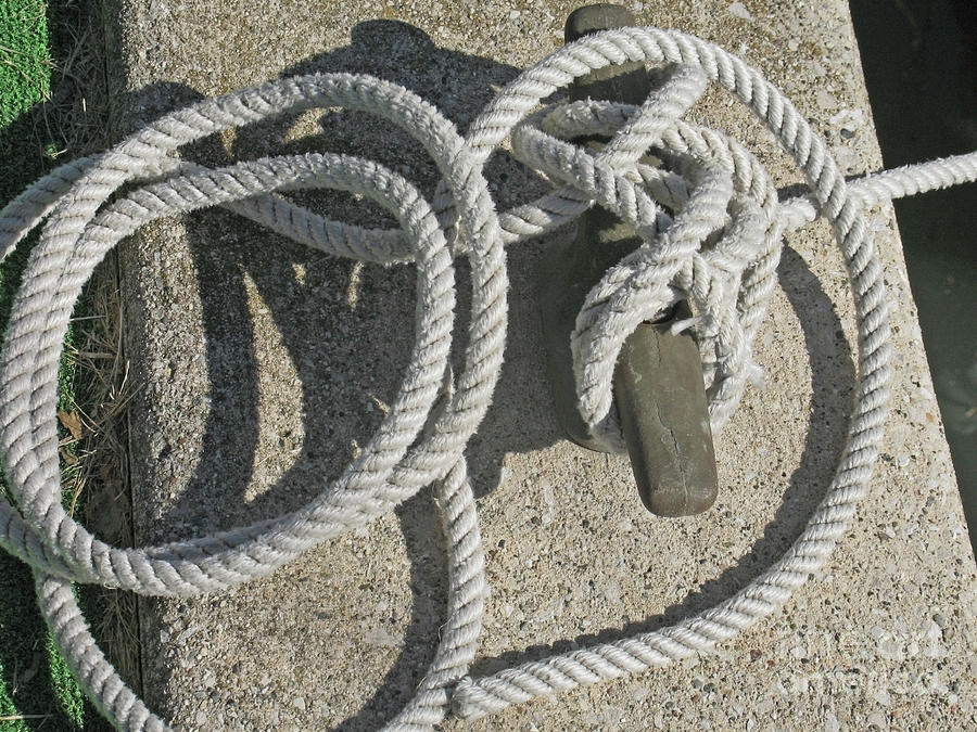 Rope Photograph - Dockside Security by Ann Horn