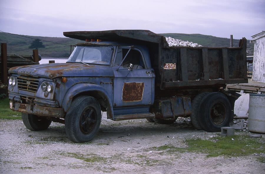 dodge самосвал 1953