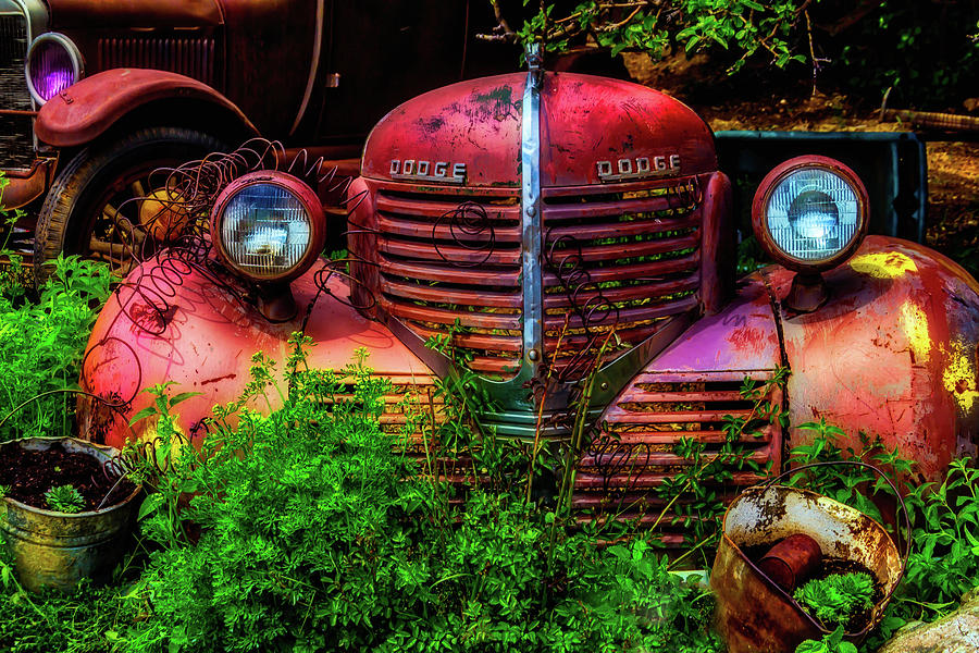 Dodge And Ford Rusting Away Photograph by Garry Gay