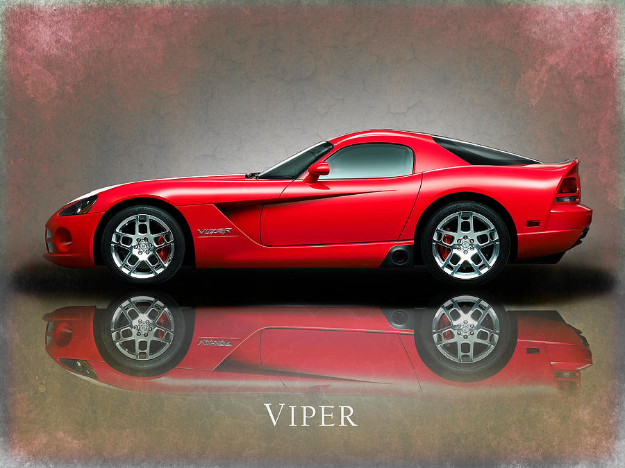 Viper Photograph - Dodge Viper by Mark Rogan