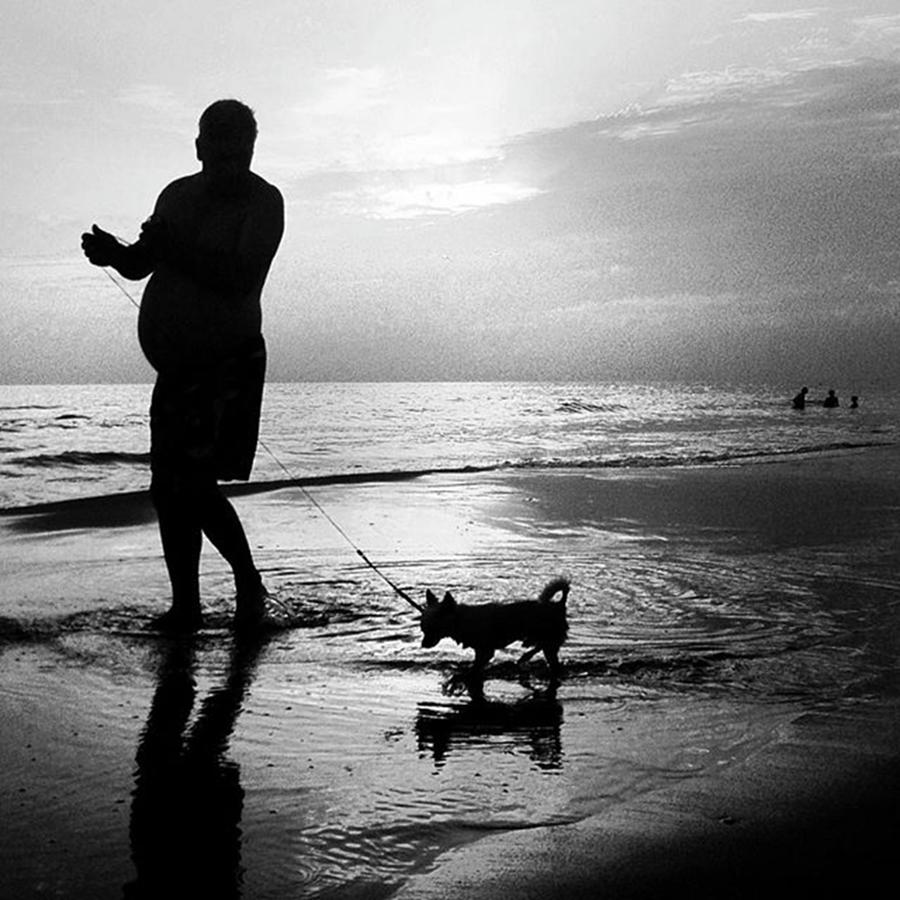 Dog Photograph - #dodoveneziano #hicontrast #sea by Dodo Veneziano