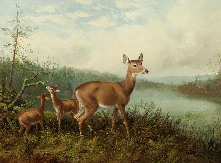 Doe and Fawns by Long Lake Painting by MotionAge Designs