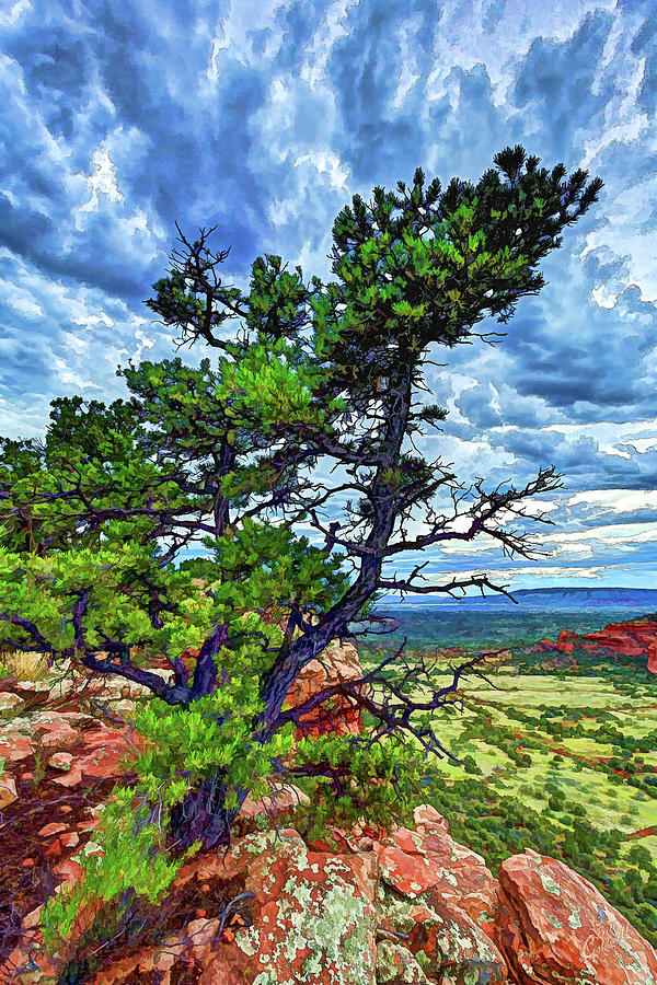 Doe Mountain Pinyon Photograph by ABeautifulSky Photography by Bill Caldwell