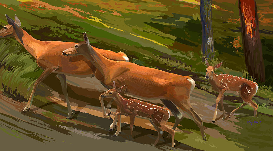 Does and Fawns Painting by Pam Little