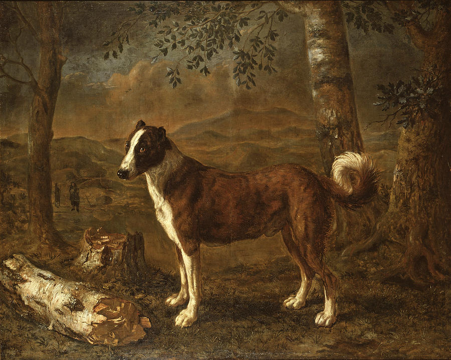 Dog and a Birch Log Painting by Govert Dircksz Camphuysen