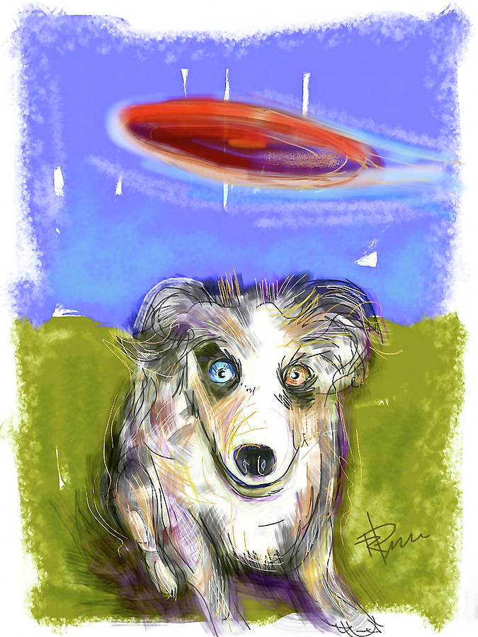 Dog and Frisbee Digital Art by Russell Pierce