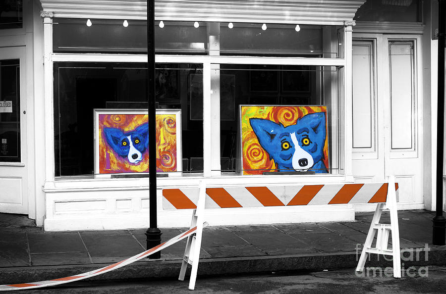 New Orleans Photograph - Dog Art Fusion by John Rizzuto