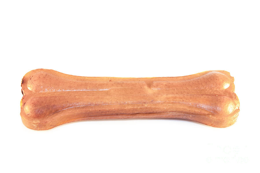 Dog bone Photograph by D R - Pixels