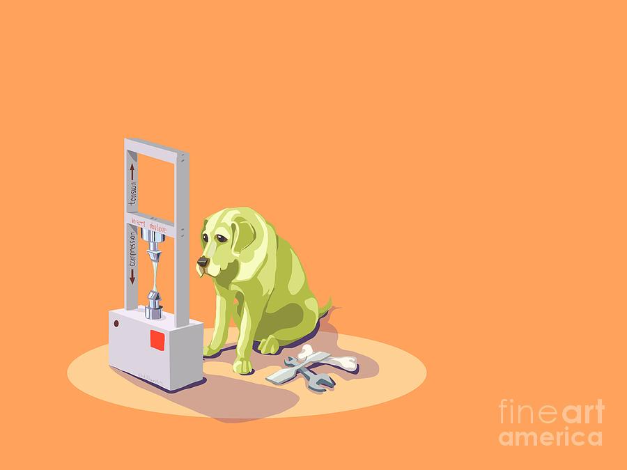 Dog Bone Testing Digital Art by K M Pawelec