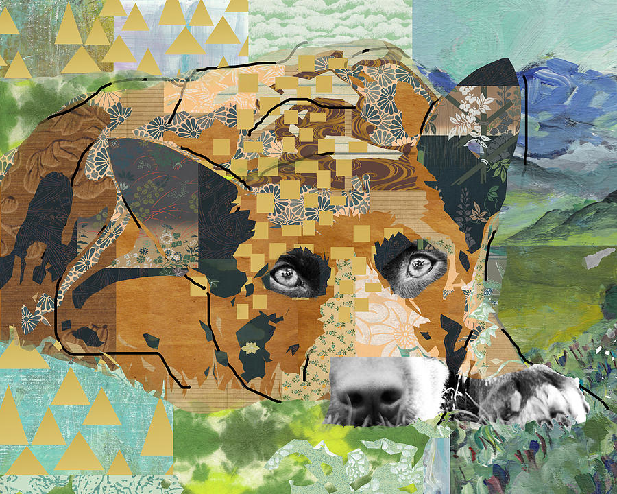 Dog Dreaming Collage Mixed Media by Claudia Schoen