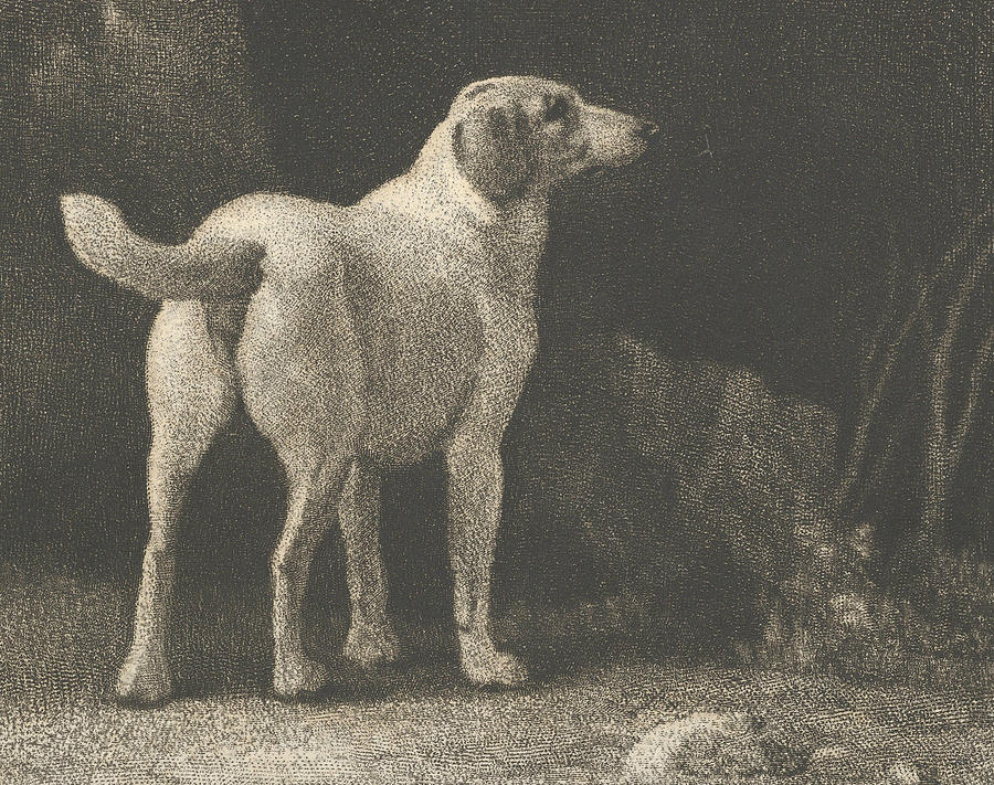 Dog  Relief by George Stubbs