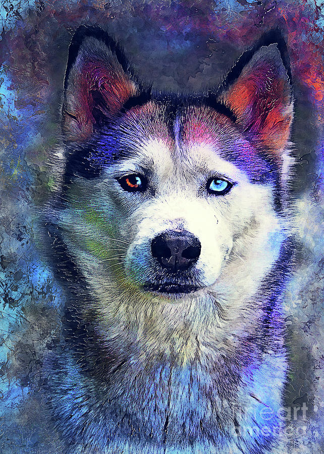Dog Husky Art Digital Art
