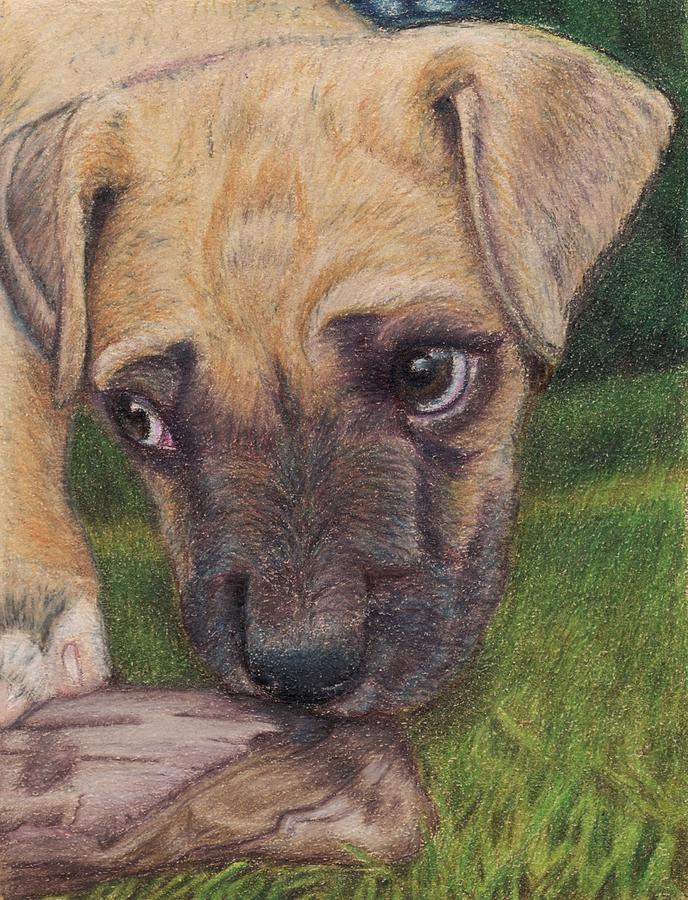 Dog Drawing - Dog by Janet Couture