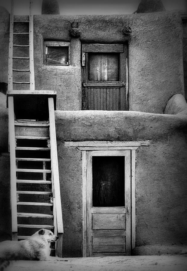 Dog Ladders and Doors in Black and White Photograph by Nadalyn Larsen