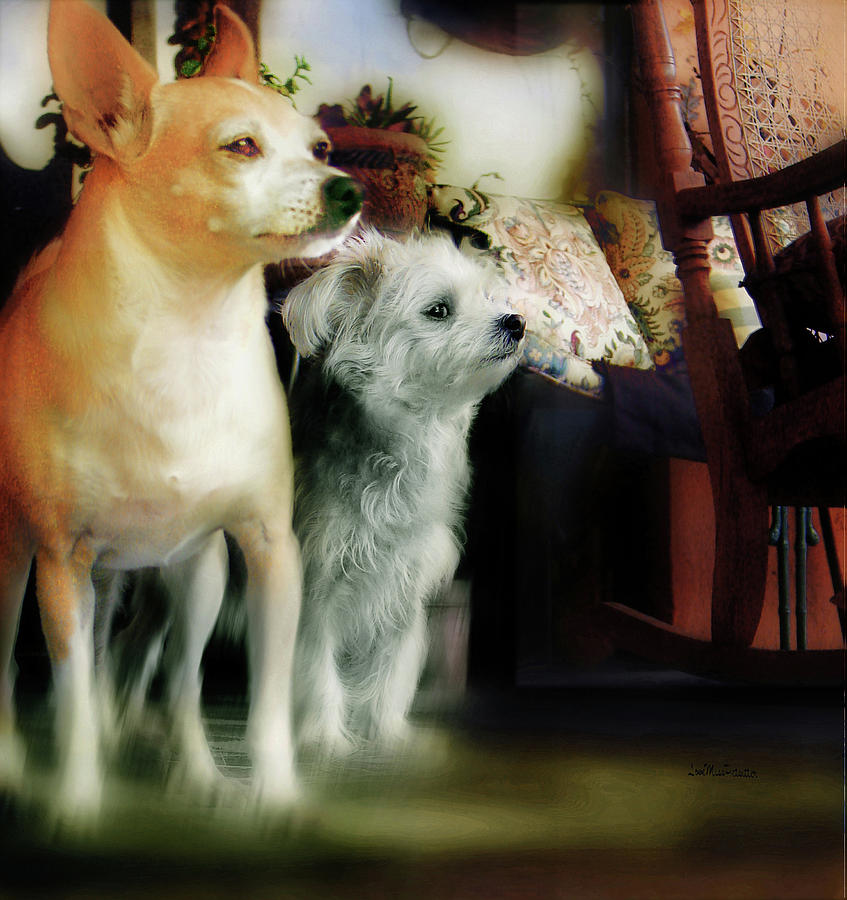 The Real Chiqui and Heichel Digital Art by Miss Pet Sitter
