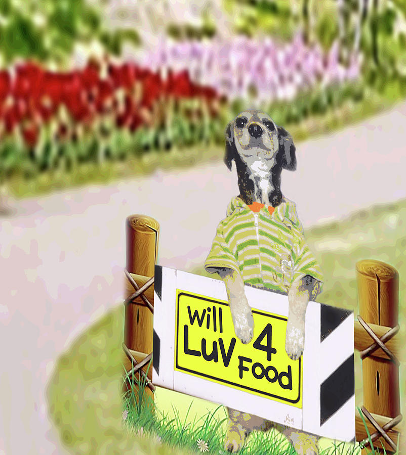Dog Love - Will Love for Food - Tuinki Mixed Media by Gabby Dreams