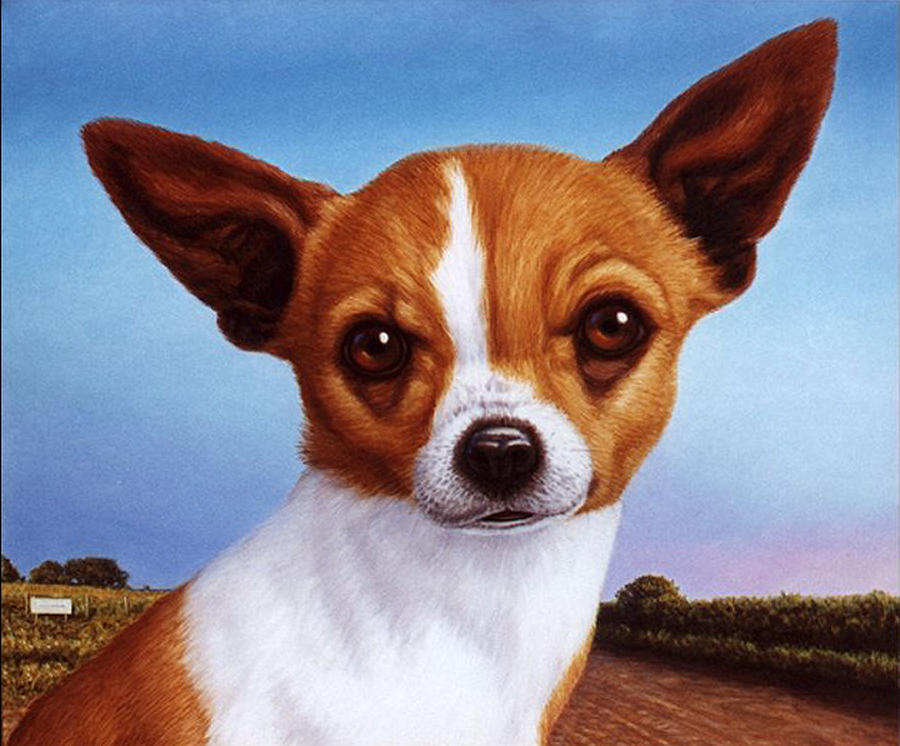 Nature Painting - Dog-Nature 3 by James W Johnson
