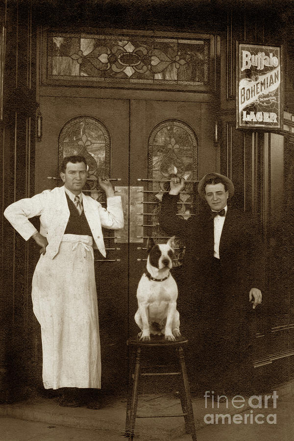 Buffalo Photograph - Dog on a bar Stool with bartender and an other man in front of a by Monterey County Historical Society