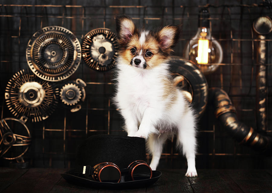 Dog On A Dark Background In The Style Of Steampunk Photograph