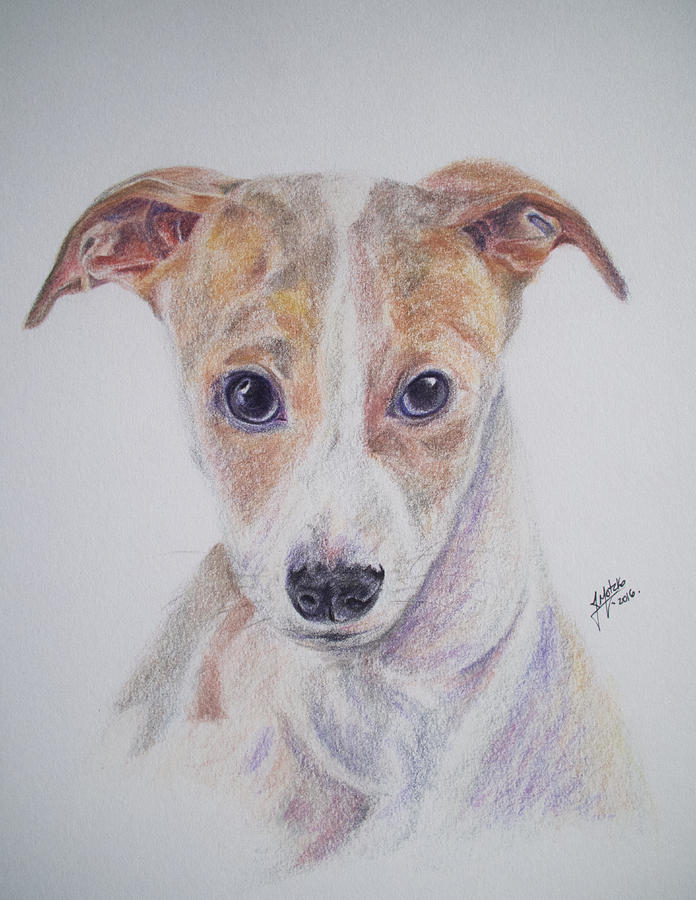 Dog Portrait Painting by Juliana Motzko