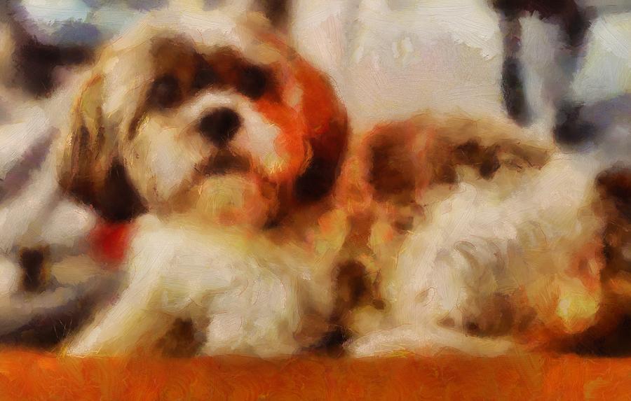 Dog Portrait Shih Tzu resting curled in orange and brown in acrylic and soft brush strokes Painting by MendyZ