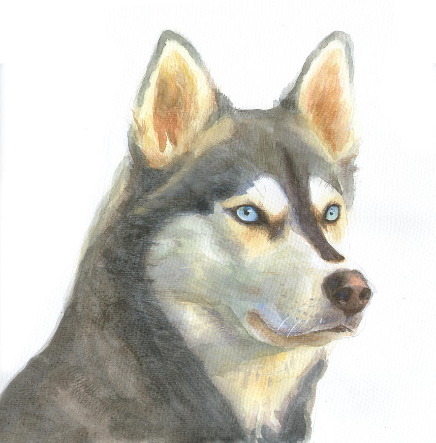 Dog portrait Painting by Tina Zhou