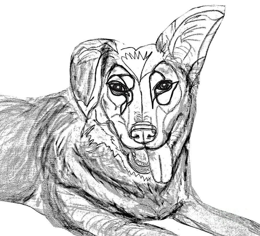 Dog Sketch in Charcoal 1 Digital Art by Ania Milo