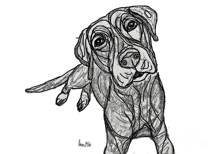 Dog Sketch in Charcoal 10 Digital Art by Ania M Milo