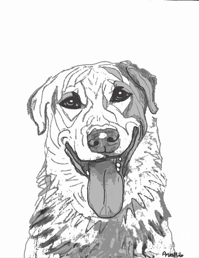 Dog Sketch in Charcoal 2 Digital Art by Ania M Milo