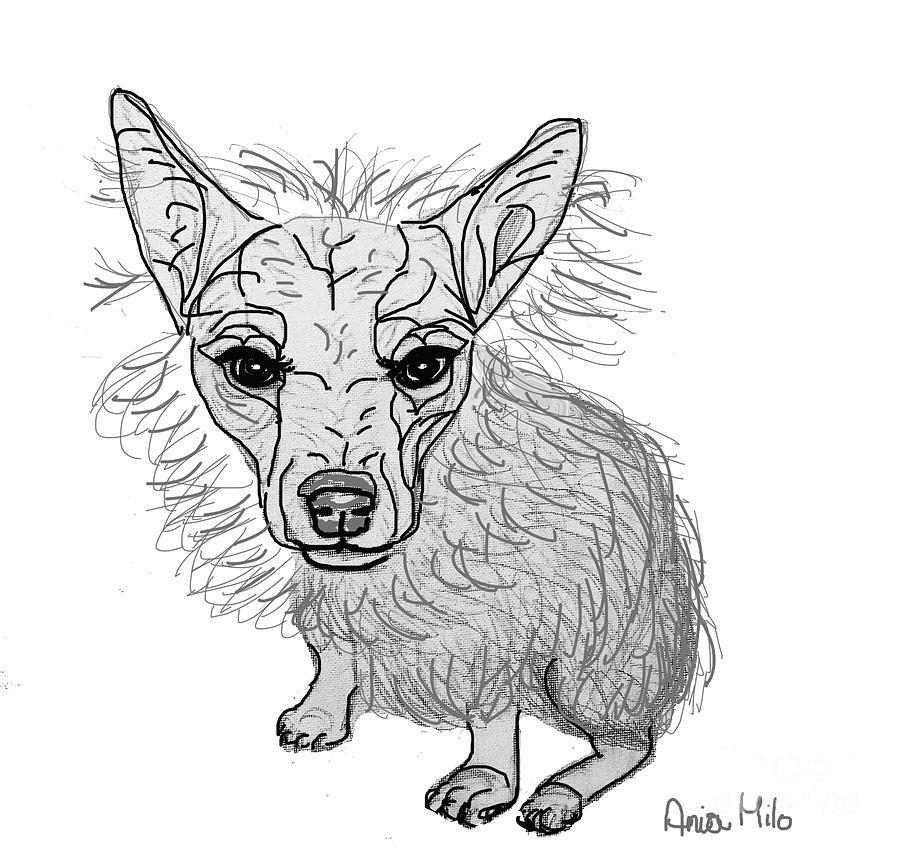 Dog Sketch in Charcoal 3 Digital Art by Ania M Milo