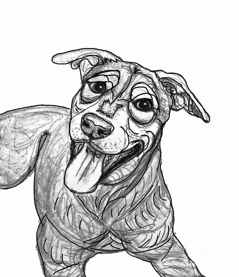 Dog Sketch in Charcoal 5 Digital Art by Ania M Milo