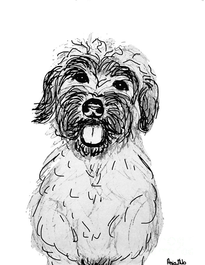 Dog Sketch in Charcoal 6 Digital Art by Ania M Milo